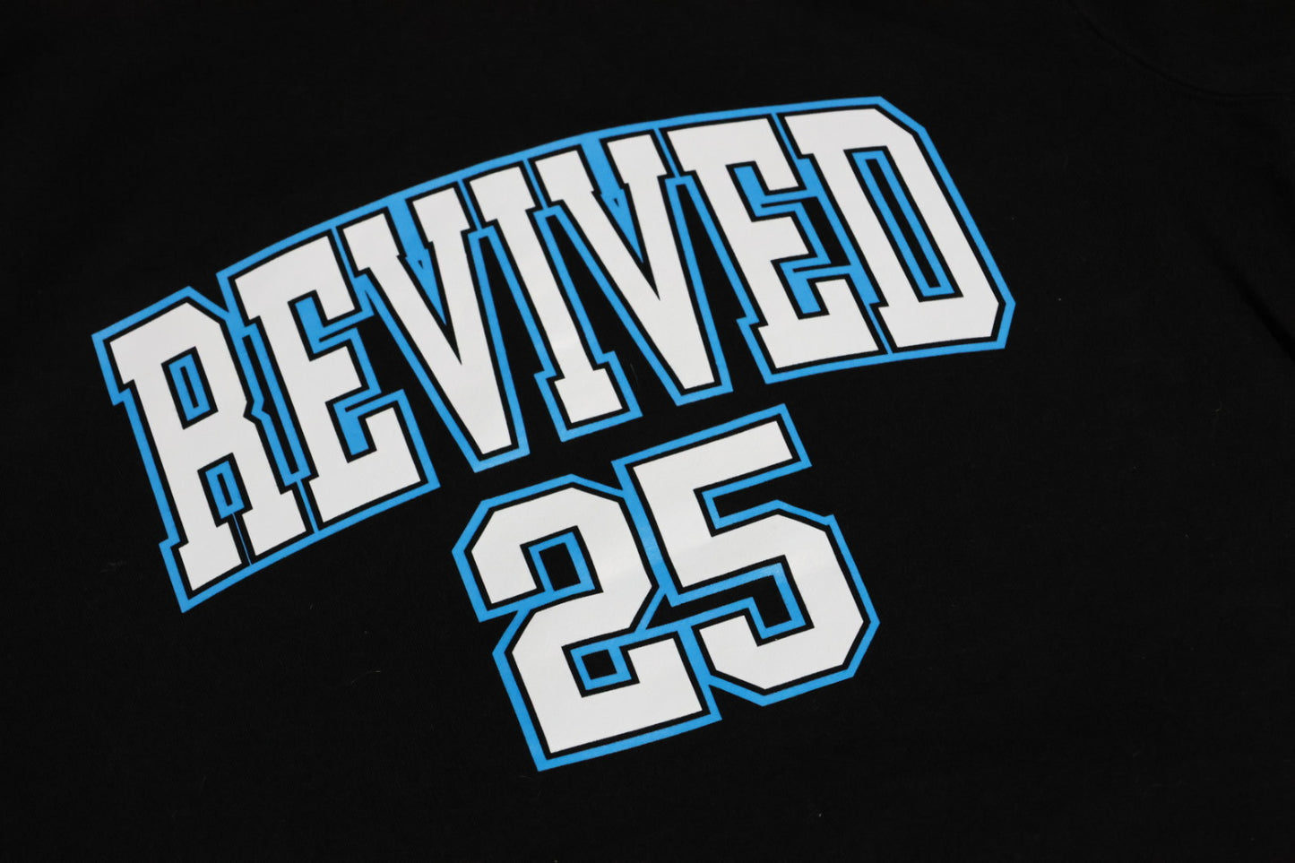 College 2.0 Heavy Faded Tee