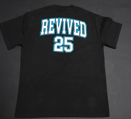 College 2.0 Heavy Faded Tee